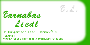 barnabas liedl business card